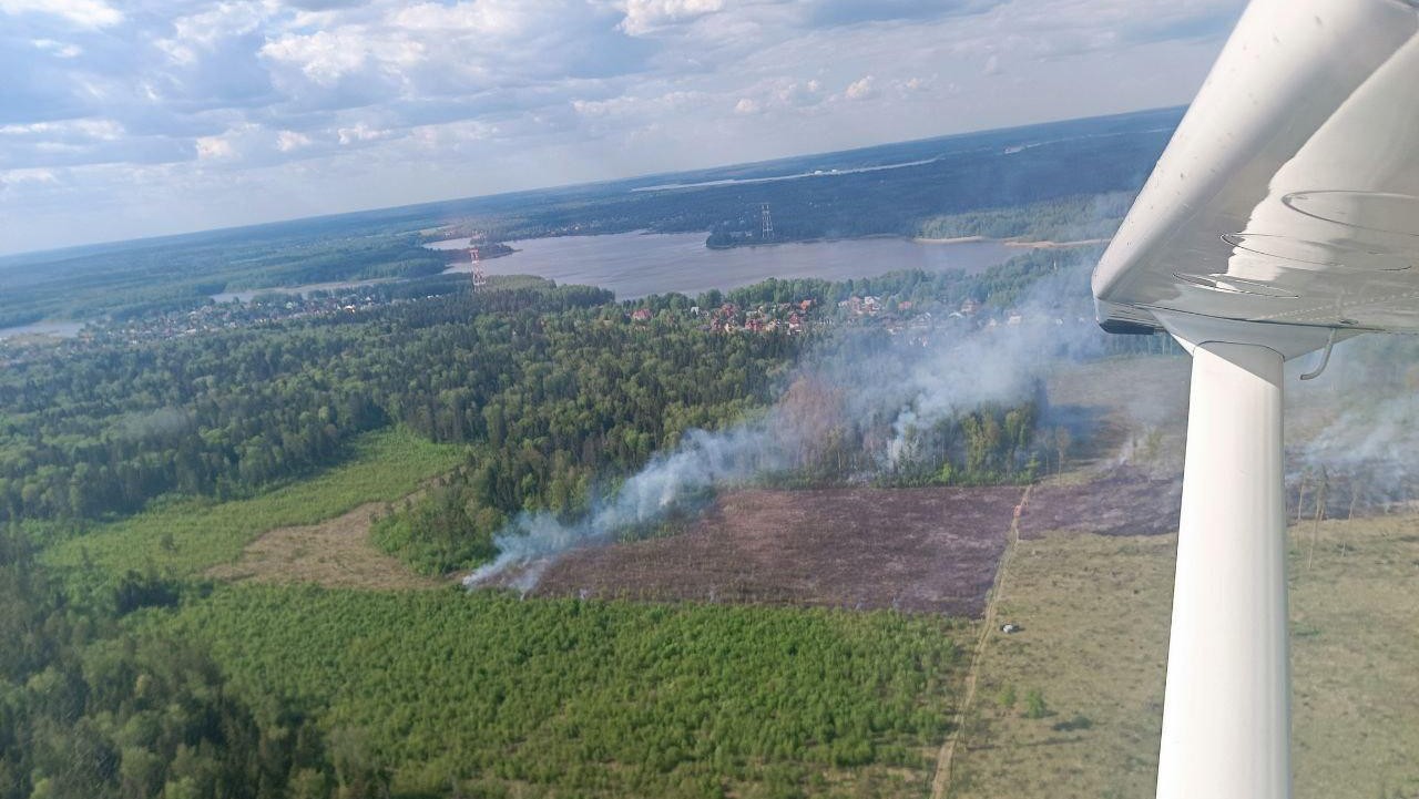 В Подмосковье начинаются лесные пожары