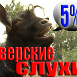 5% тверских слухов №7