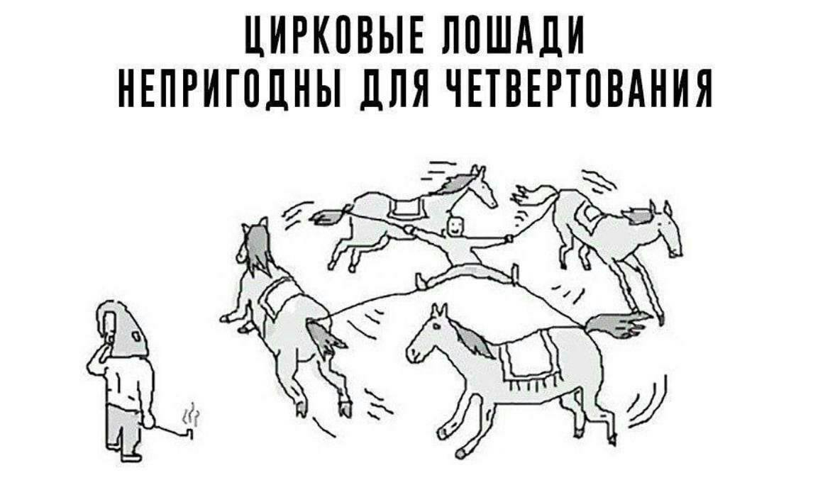 Цирковые лошади не пригодны для четвертования. Цирковые лошади четвертование. Цирковая лошадь.